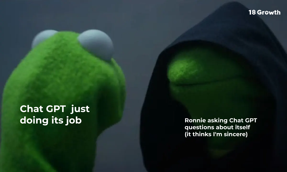 Kermit Asking Chat GPT about itself meme