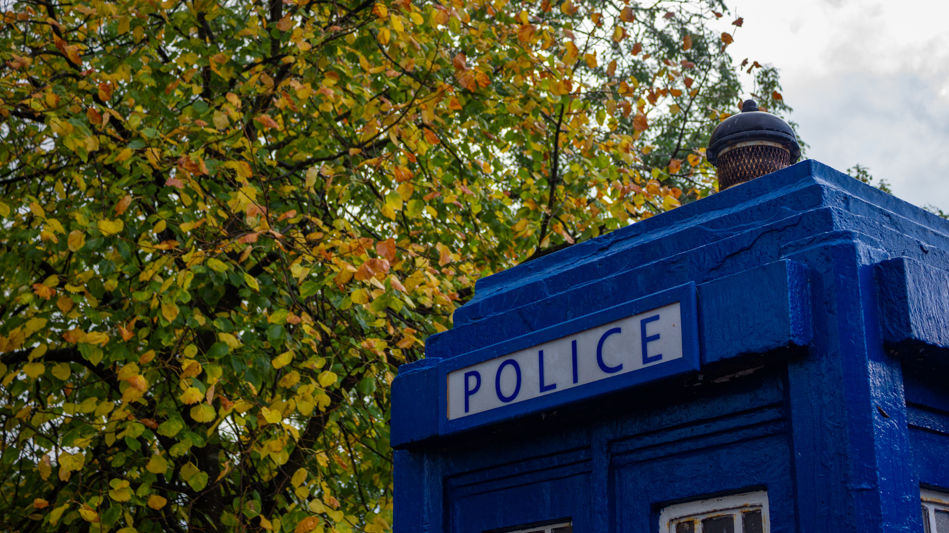 British Police Box with Trees